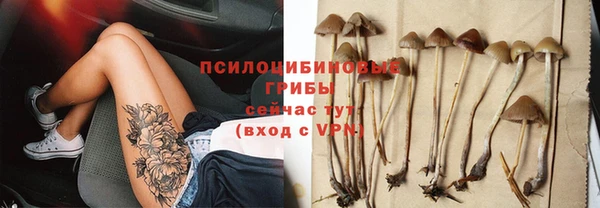 spice Алексин
