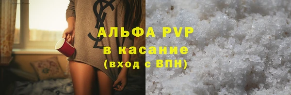 хмурый Абаза