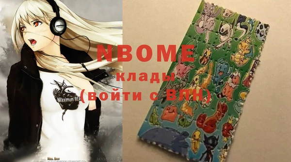 хмурый Абаза