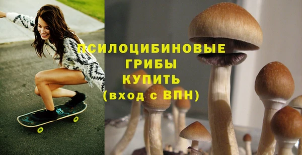 бошки Абдулино