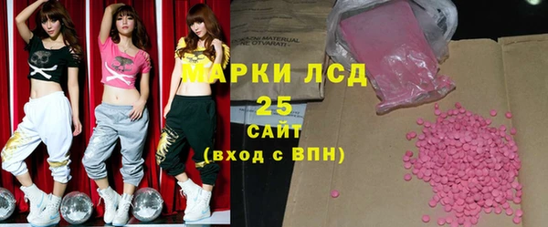 хмурый Абаза